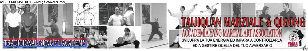 Kung Fu Academy di Master Salvatore Mezzone